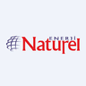 NATEN Logo