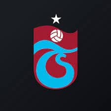 TSPOR logosu