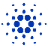 Cardano